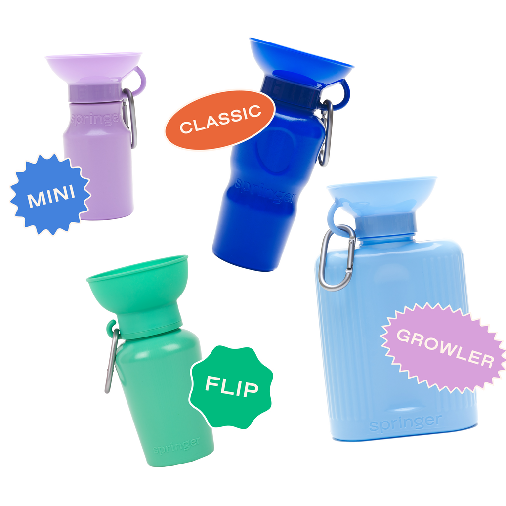 Springer Flip Dog Travel Water Bottle Sky Blue