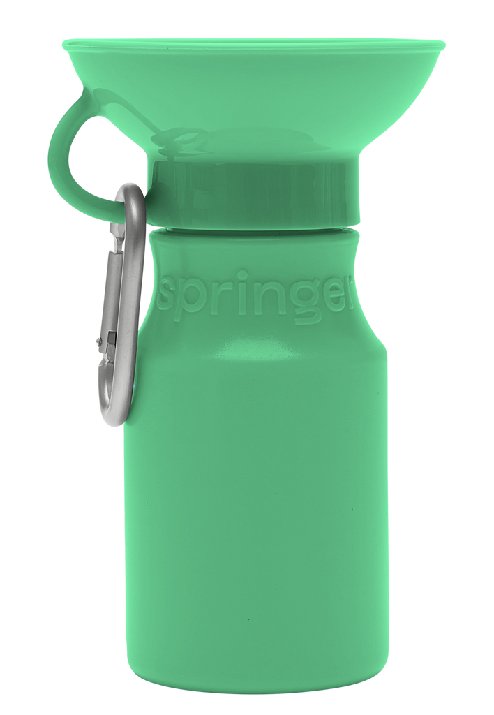 Mini Springer Green