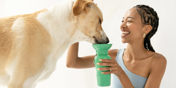 Dog Travel Bottle