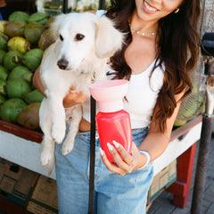 플립 트래블 보틀