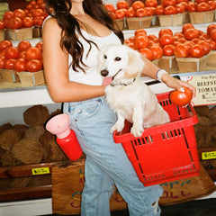 플립 트래블 보틀