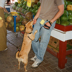 휴대용 간식 파우치