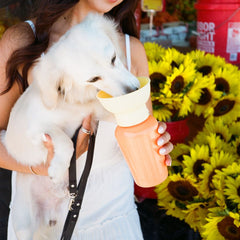 플립 트래블 보틀