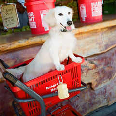 휴대용 간식 파우치