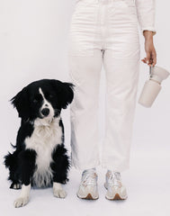 Springer Flip Dog Travel Water Bottle Oat