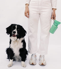 Springer Flip Dog Travel Water Bottle Springer Green