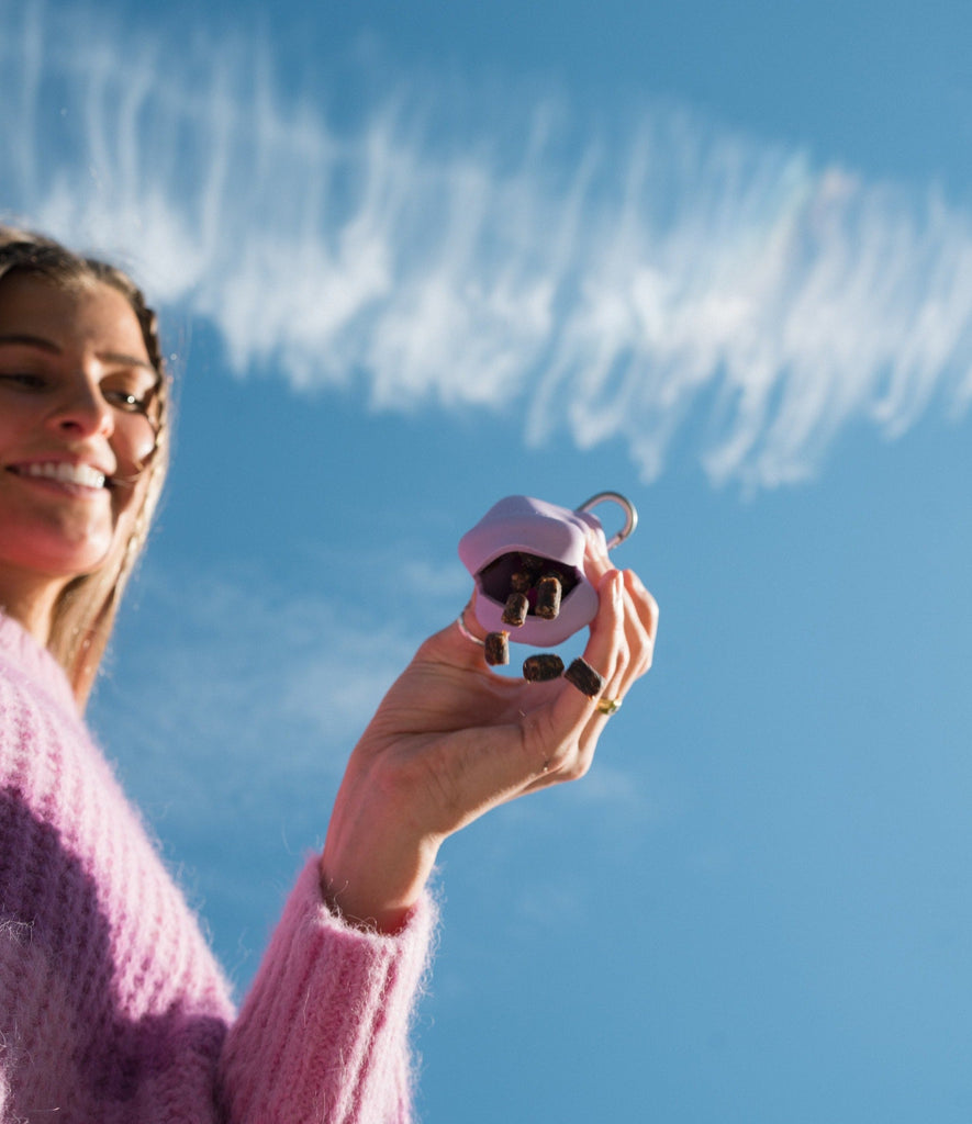 Silicone Dog Treat Dispenser Lilac