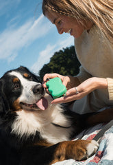 Silicone Dog Treat Dispenser Springer Green