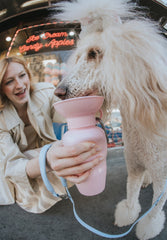 Classic Cotton Candy