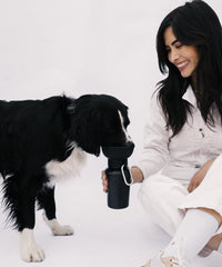 Springer Flip Dog Travel Water Bottle Springer Black